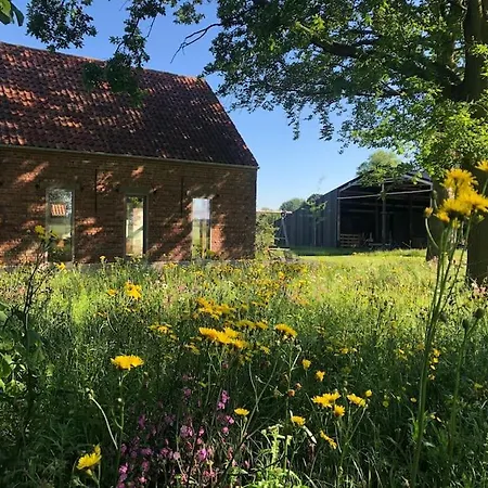 Schuurloft Hof Bogaerde Met Biozwembad, Veldzicht & Uilennest