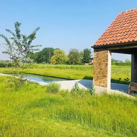 Schuurloft Hof Bogaerde Met Biozwembad, Veldzicht & Uilennest *