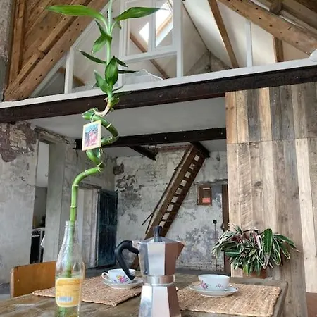 Schuurloft Hof Bogaerde Met Biozwembad, Veldzicht & Uilennest *